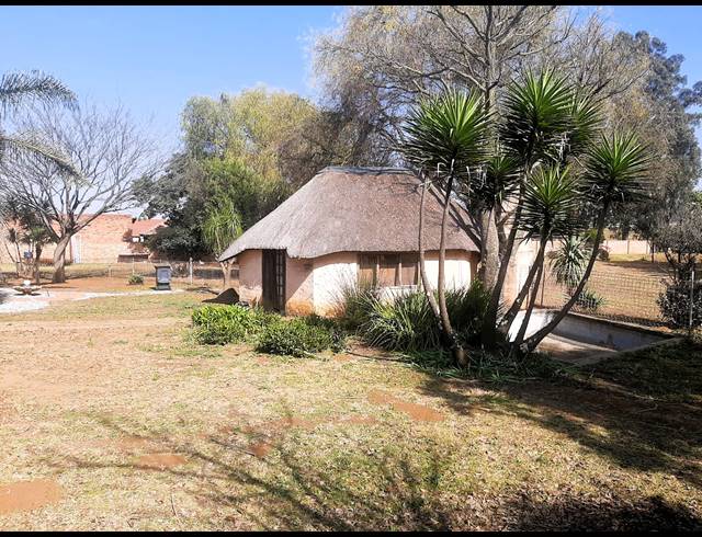SMALLHOLDING RENTED IN DENNEOORD